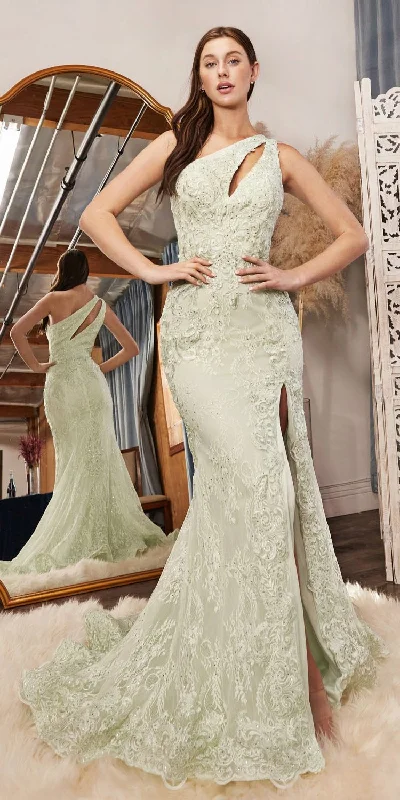 Cinderella Divine CD973 One Shoulder Lace Fitted Gown